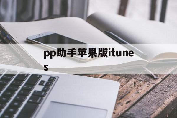 pp助手苹果版itunes(pp助手要下载itunes)-第3张图片-有道翻译官网