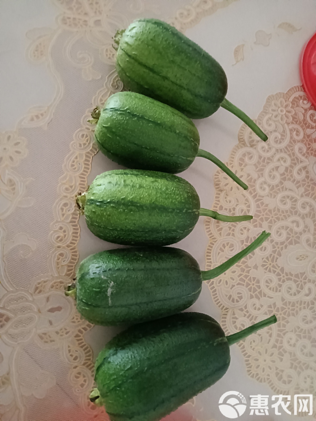 丝瓜苹果版免费下载(丝瓜app苹果下载免费下载丝瓜)-第2张图片-有道翻译官网