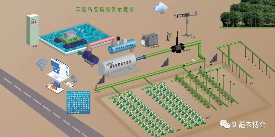 智慧领航苹果版下载(智慧领袖教育科技北京有限公司)-第6张图片-有道翻译官网