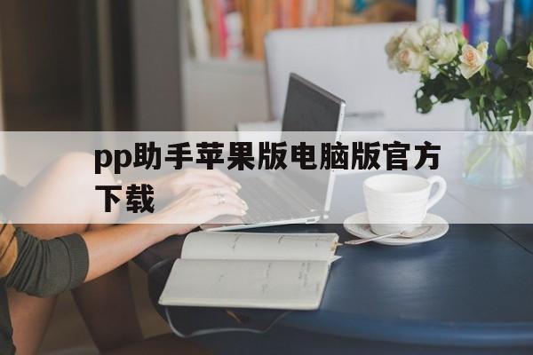 pp助手苹果版电脑版官方下载(pp助手ios版下载正版无需电脑)-第7张图片-有道翻译官网