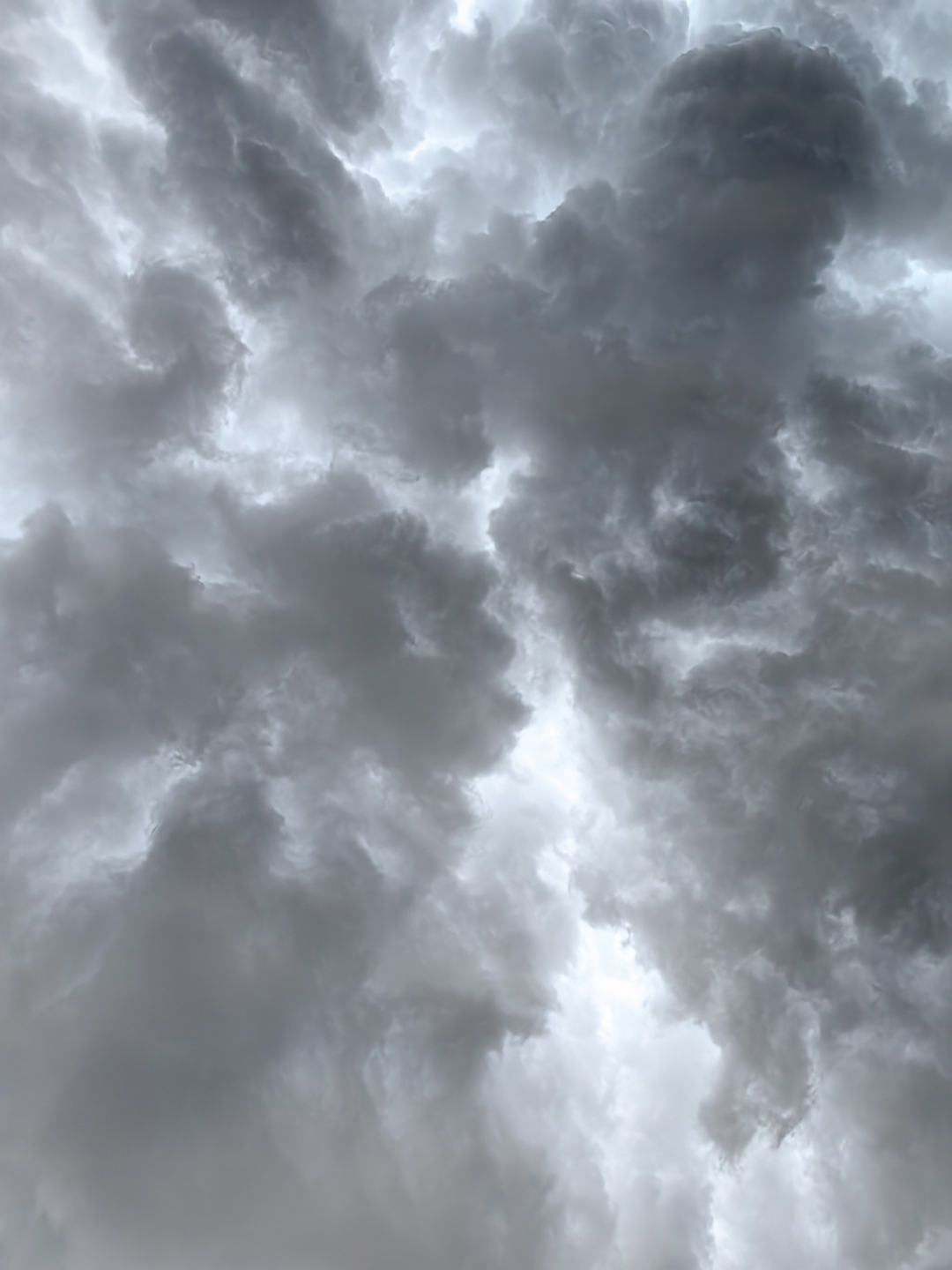 乌云拍照苹果版下载(乌云拍照苹果版下载安装)-第2张图片-有道翻译官网 乌云拍照苹果版下载(乌云拍照苹果版下载安装)-第2张图片-有道翻译官网